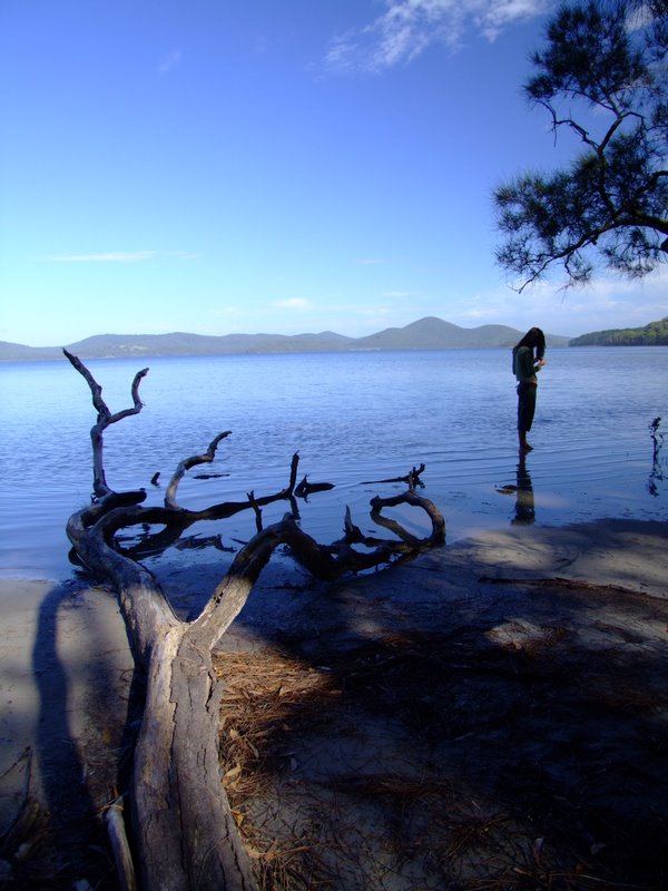 Travel - Australia - Dery Pictures Bush Party - The Lake near Forster